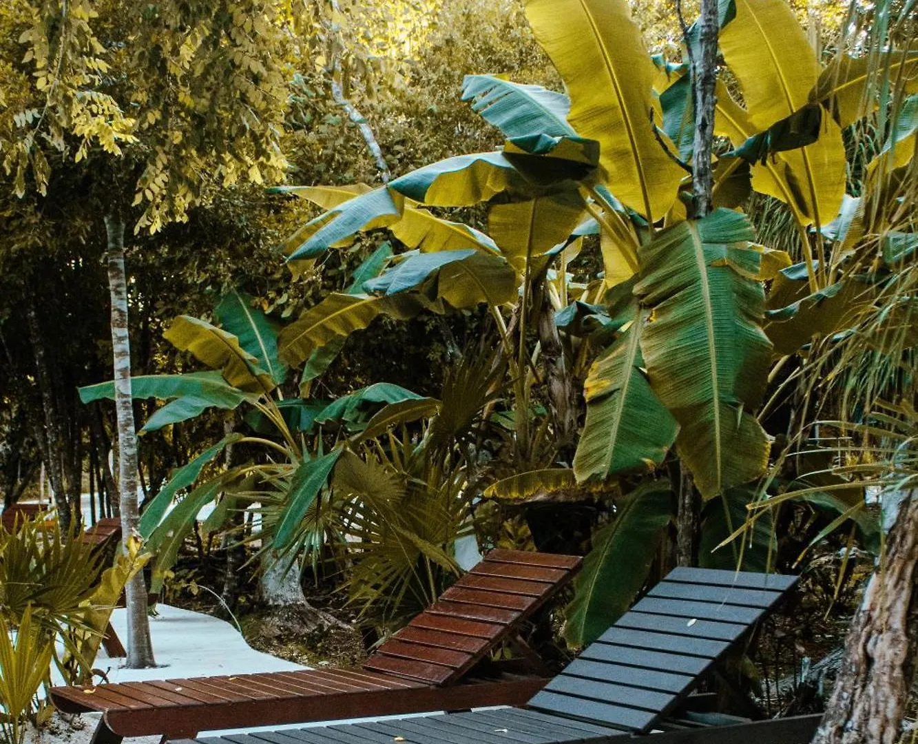 Villa Escondida - Riviera Maya Puerto Morelos